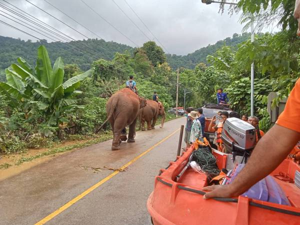 ทีมเครือข่ายอาสาเพื่อนพึ่งภาฯ ต.เกาะขันธ์ และทีมอาสาฯ ย้ายลงพื้นที่จังหวัดเชียงใหม่