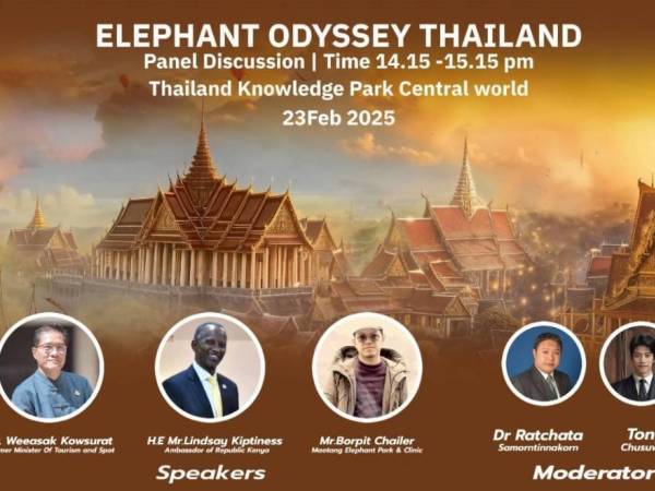 เสวนา หนัง และ ศิลปะ เพื่อช้าง “Elephants Odyssey Thailand”