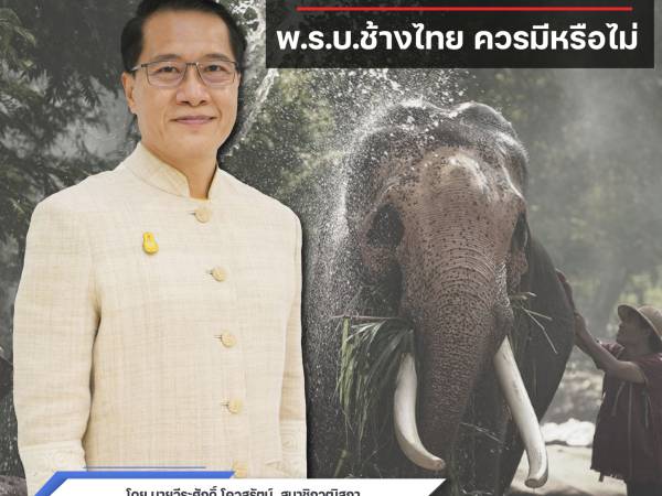 ช้างไทยสำคัญอย่างไร ถึงเวลาควรมีกฎหมายเป็นการเฉพาะหรือยัง